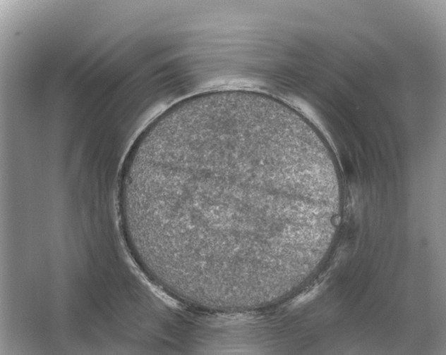 X0000066950997200604142045