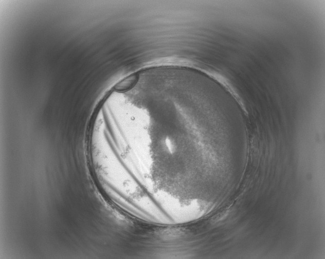 X0000066950998200604142044