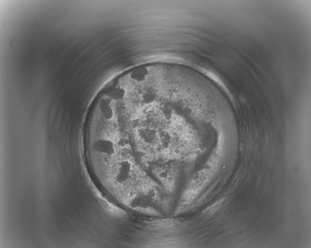 X0000066950999200604142044