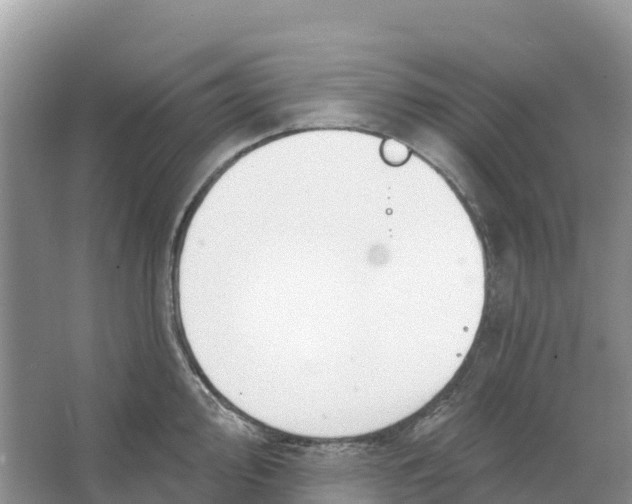 X0000066951000200604142044