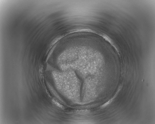 X0000066951001200604142044