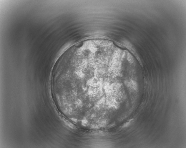 X0000066951002200604142044