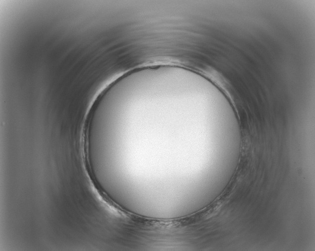 X0000066951003200604142044