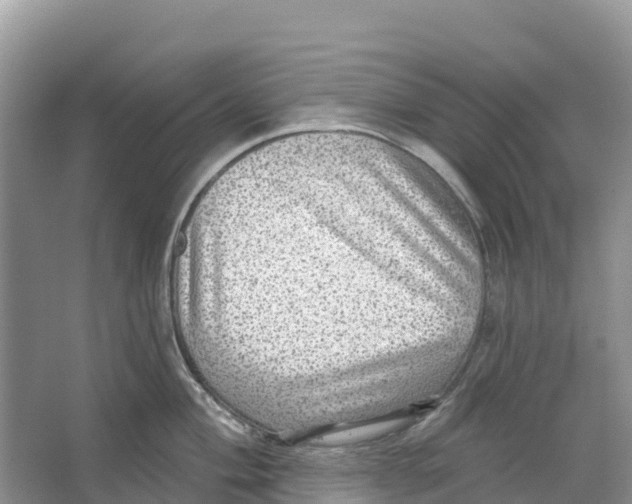 X0000066951004200604142044