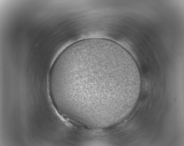 X0000066951006200604142044