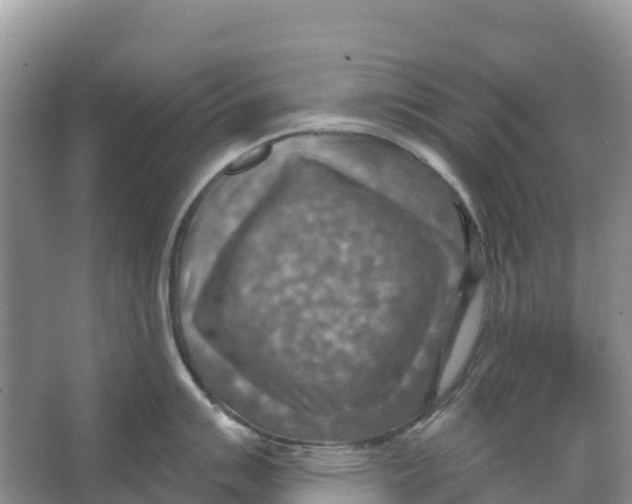 X0000066951007200604142044