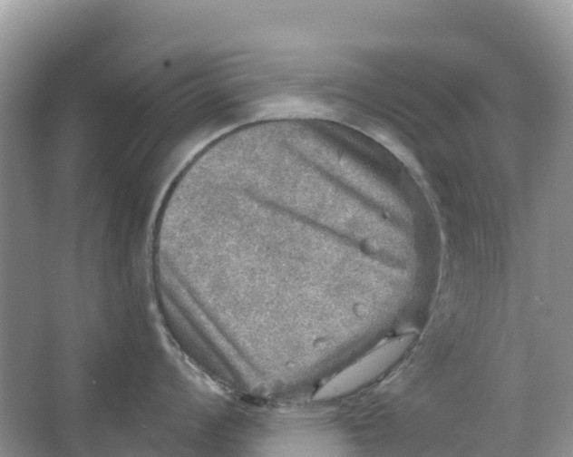 X0000066951008200604142044