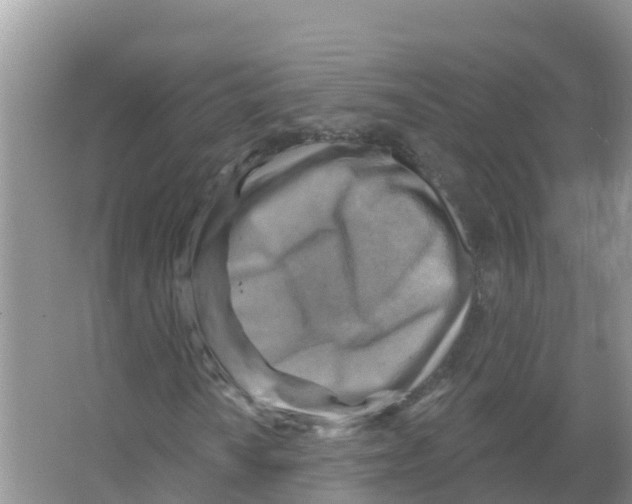 X0000066951010200604142044