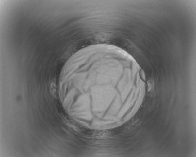 X0000066951011200604142044