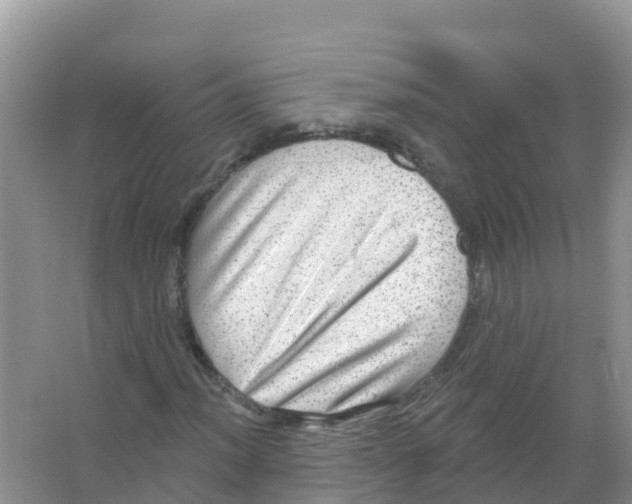 X0000066951012200604142044