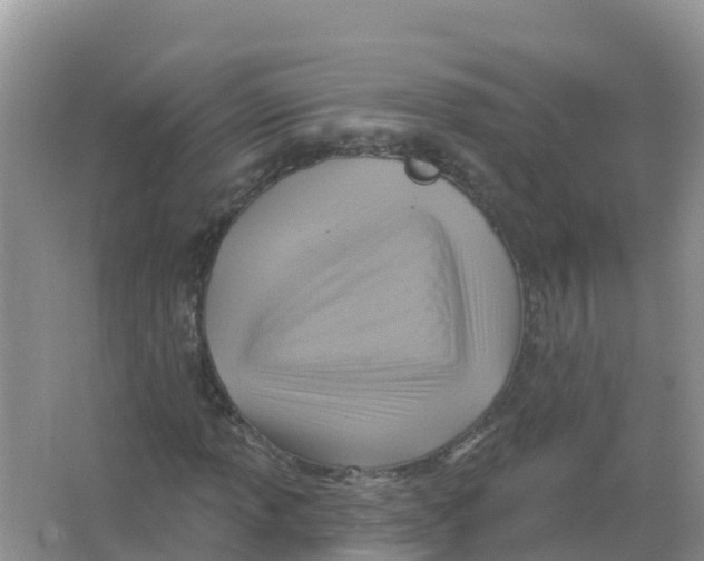 X0000066951013200604142044