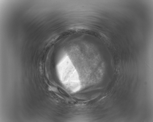 X0000066951014200604142044