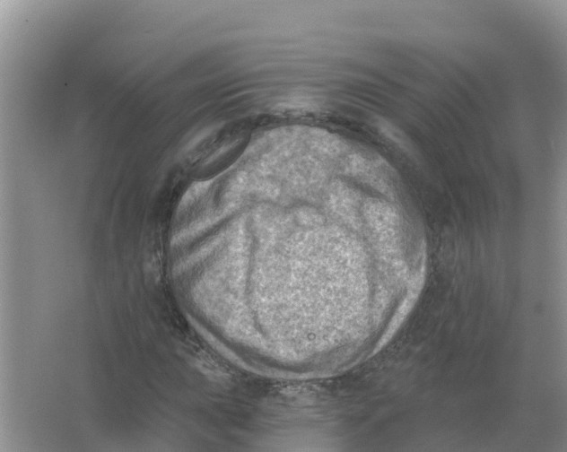 X0000066951015200604142044