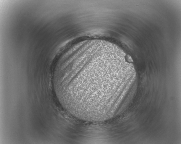 X0000066951016200604142044