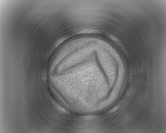 X0000066951017200604142044