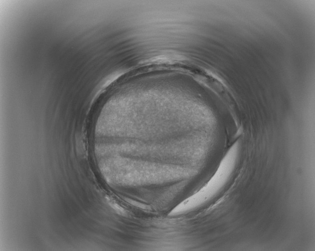 X0000066951018200604142044