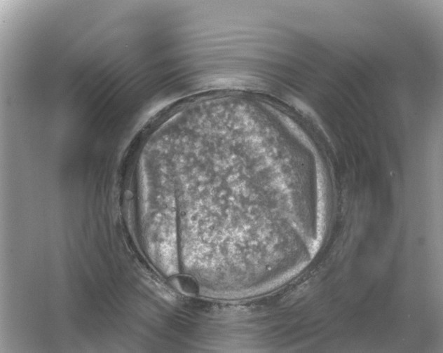 X0000066951019200604142044