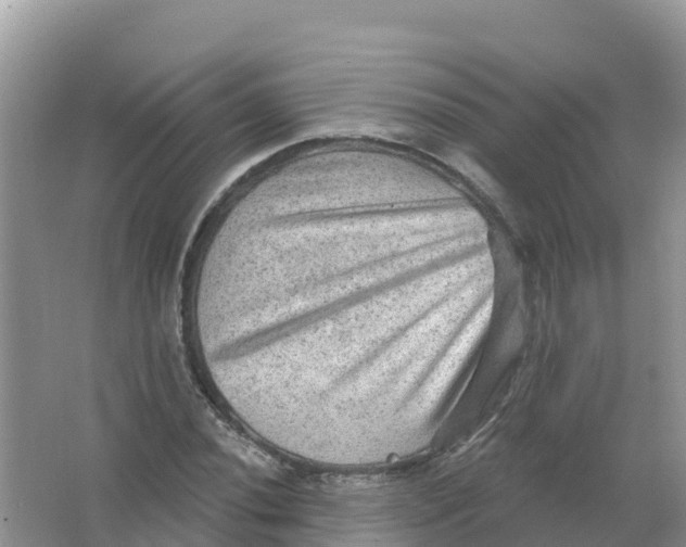 X0000066951020200604142044