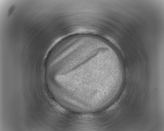 X0000066951021200604142044