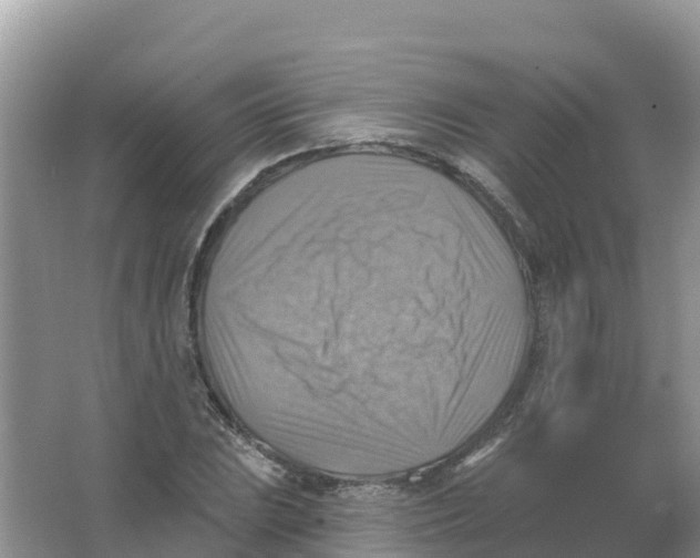 X0000066951023200604142044