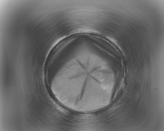 X0000066951024200604142044