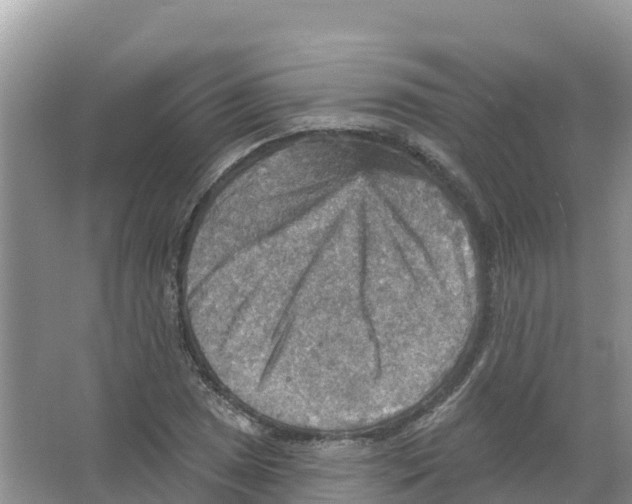 X0000066951025200604142044