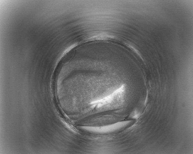 X0000066951026200604142044