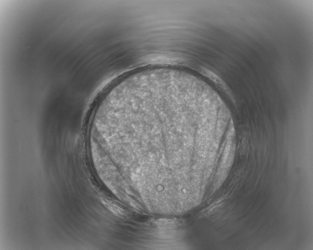 X0000066951027200604142044