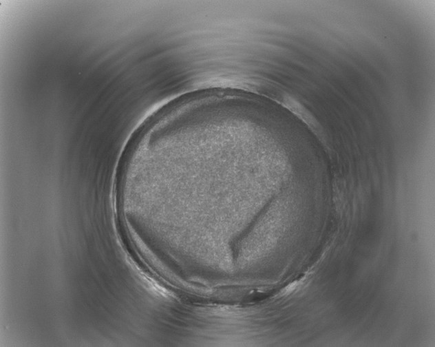 X0000066951028200604142044