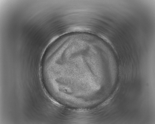 X0000066951029200604142044