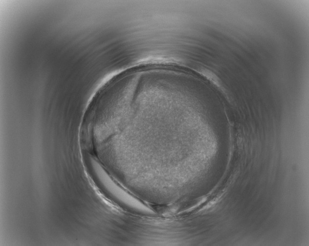 X0000066951030200604142044