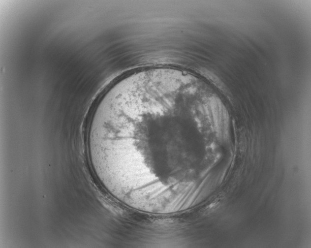 X0000066951031200604142044