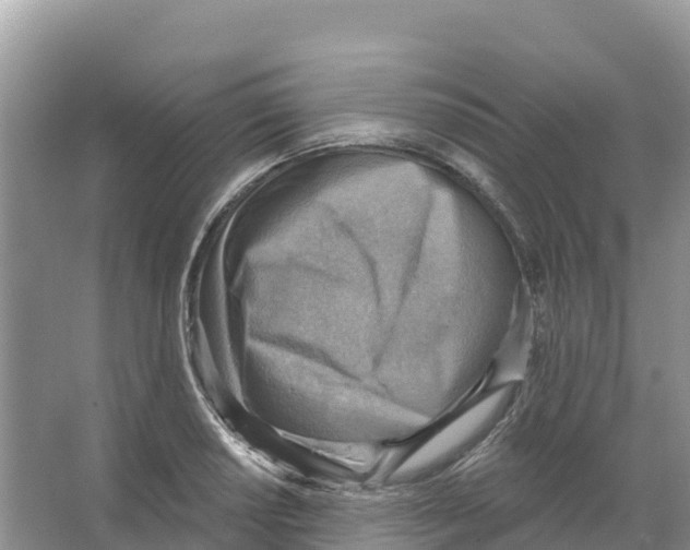 X0000066951034200604142044