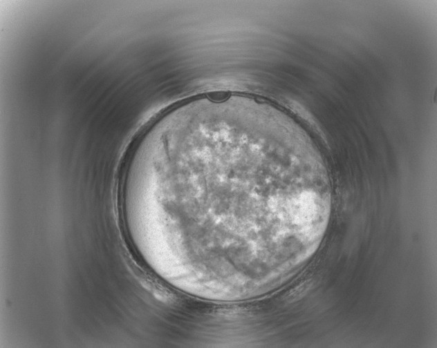 X0000066951035200604142044