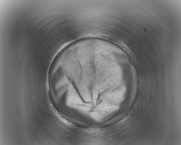 X0000066951036200604142044