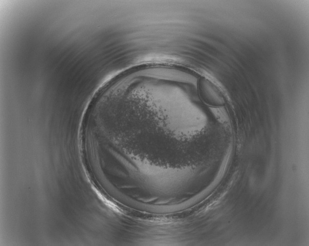 X0000066951037200604142044