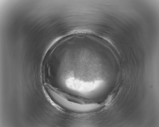 X0000066951038200604142044