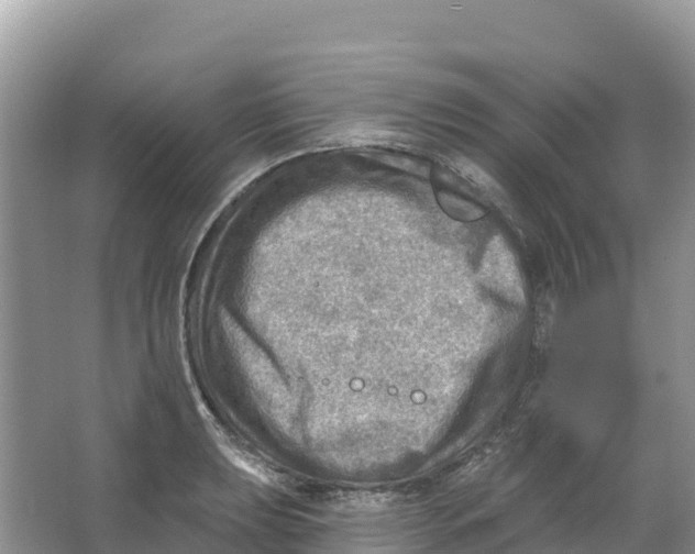 X0000066951039200604142044