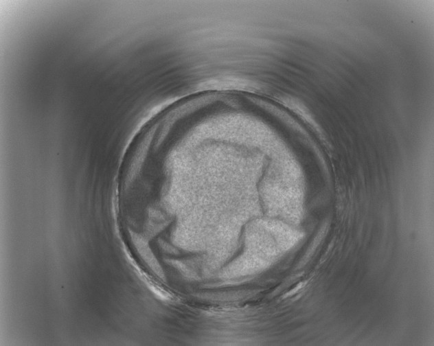 X0000066951040200604142044