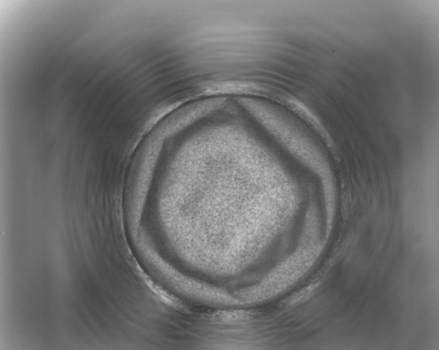 X0000066951041200604142044