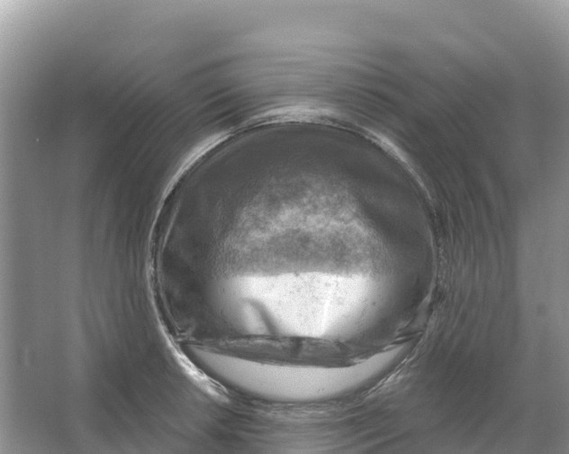 X0000066951042200604142044