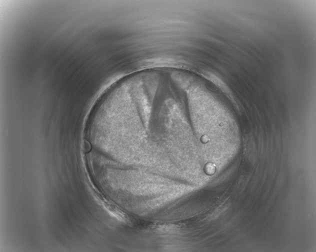 X0000066951043200604142044