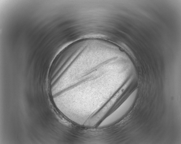 X0000066951044200604142044