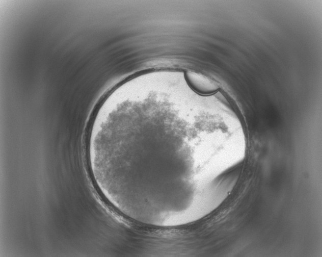 X0000066951045200604142044