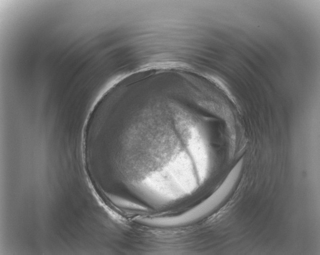 X0000066951046200604142044