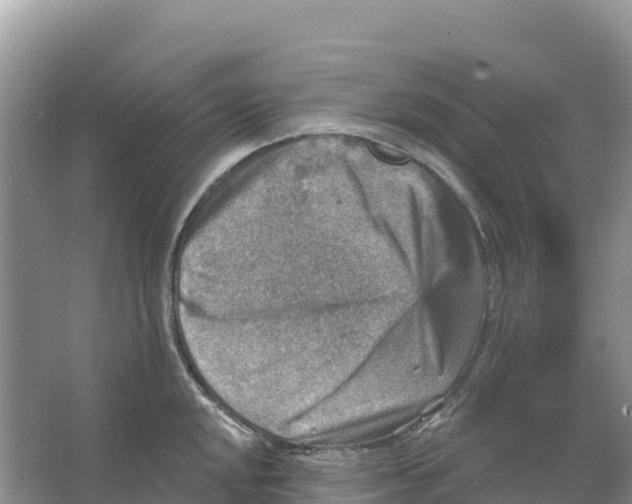 X0000066951048200604142044