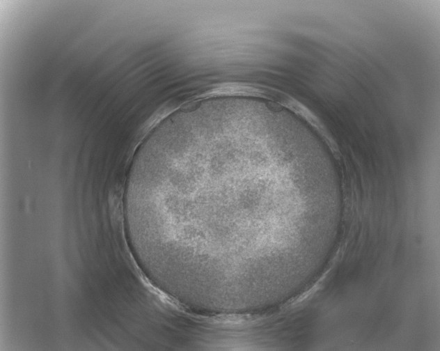 X0000066951049200604142044