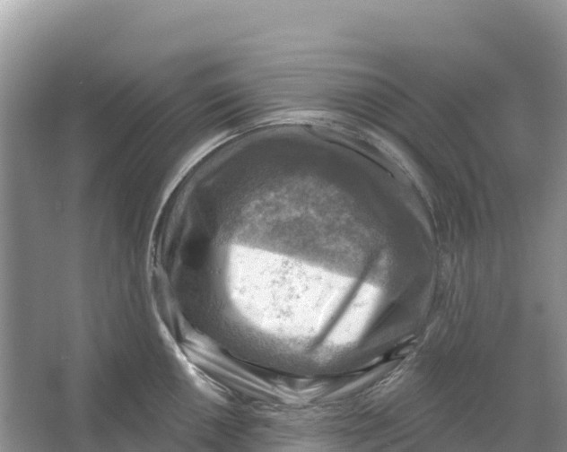 X0000066951050200604142044