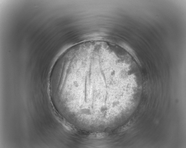 X0000066951051200604142044