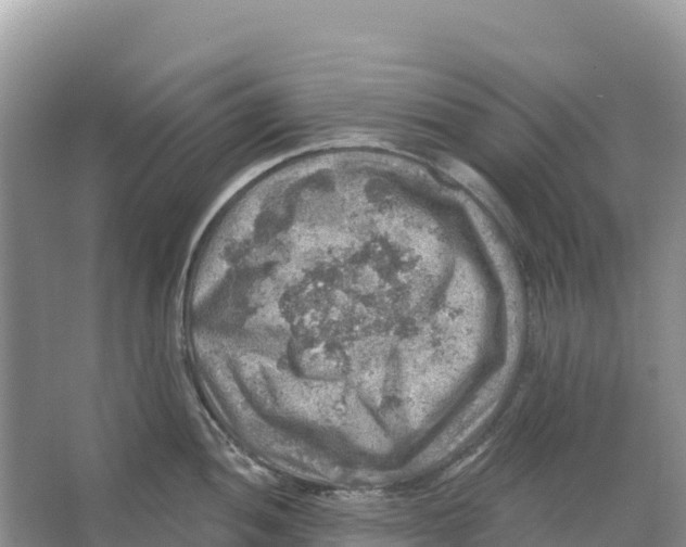 X0000066951052200604142044